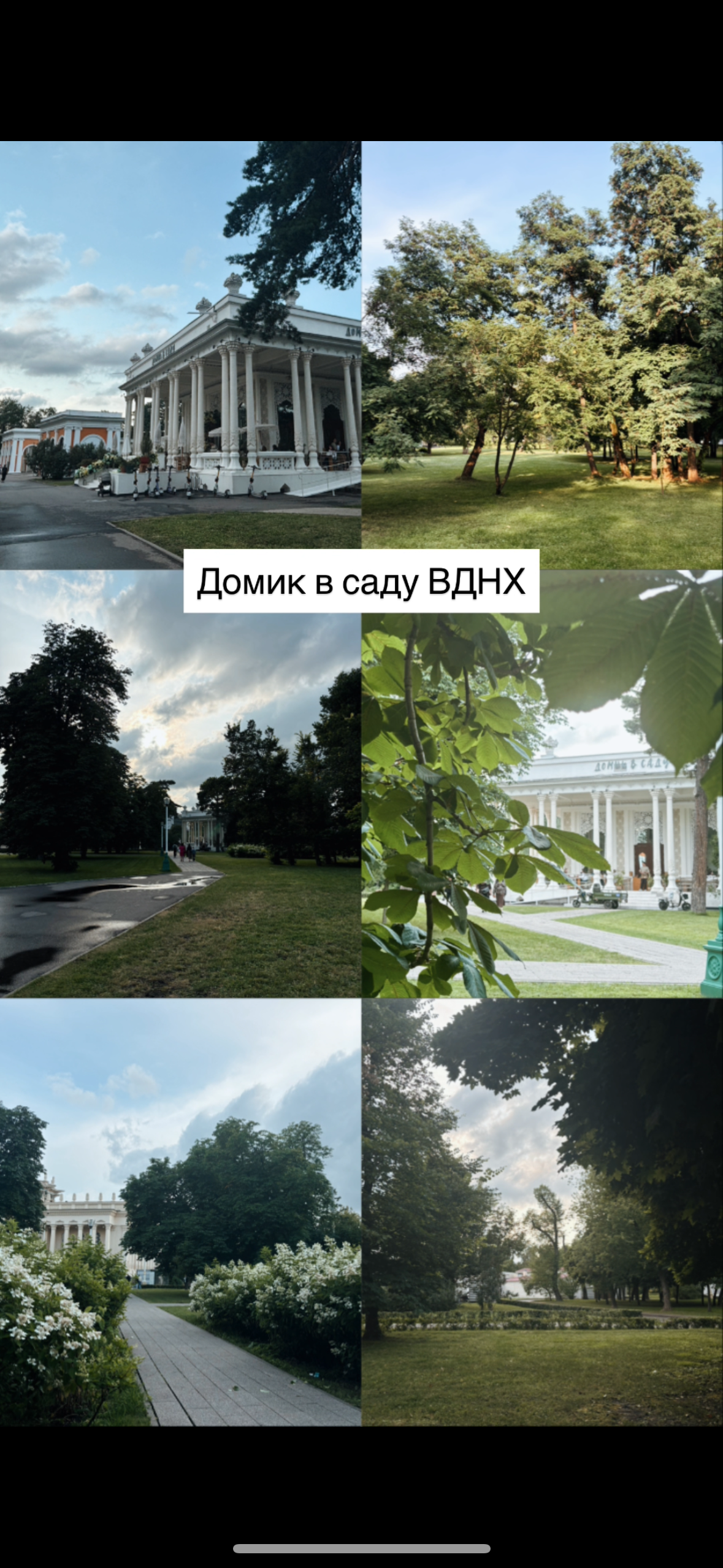Городские. Фотограф Светлана Мерзлякова