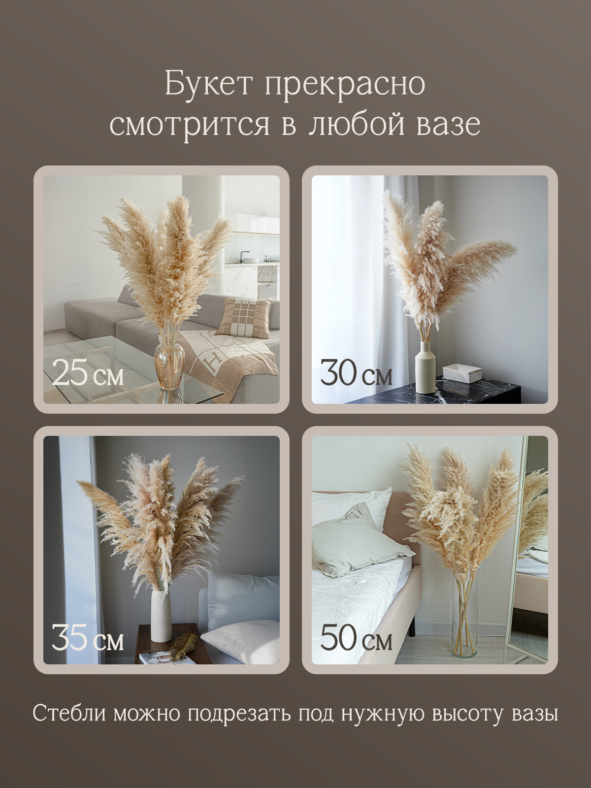 Сухоцветы. Разработка фирменного стиля, брендбука, логотипа (логобука), инфографика для маркетплейсов, Новосибирск