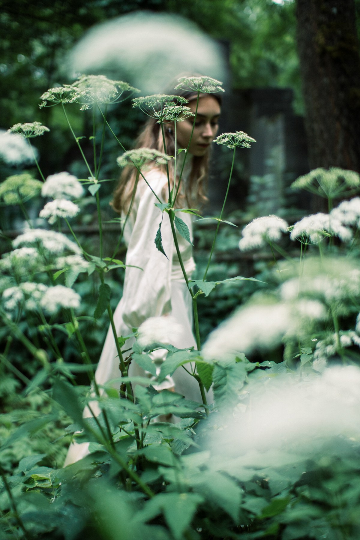 Молодая девушка среди зелени и белых цветов