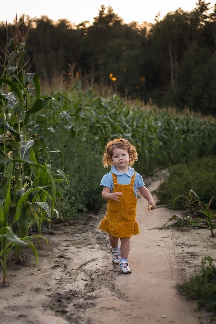 Кукурузные поля. Портретный, семейный, свадебный фотограф в Брянске Маргарита Василькова