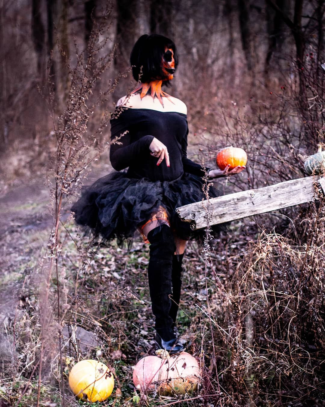 Тыковка. Фотограф/Контент-фотограф в Гусь-Хрустальном Валентина Ванюхина