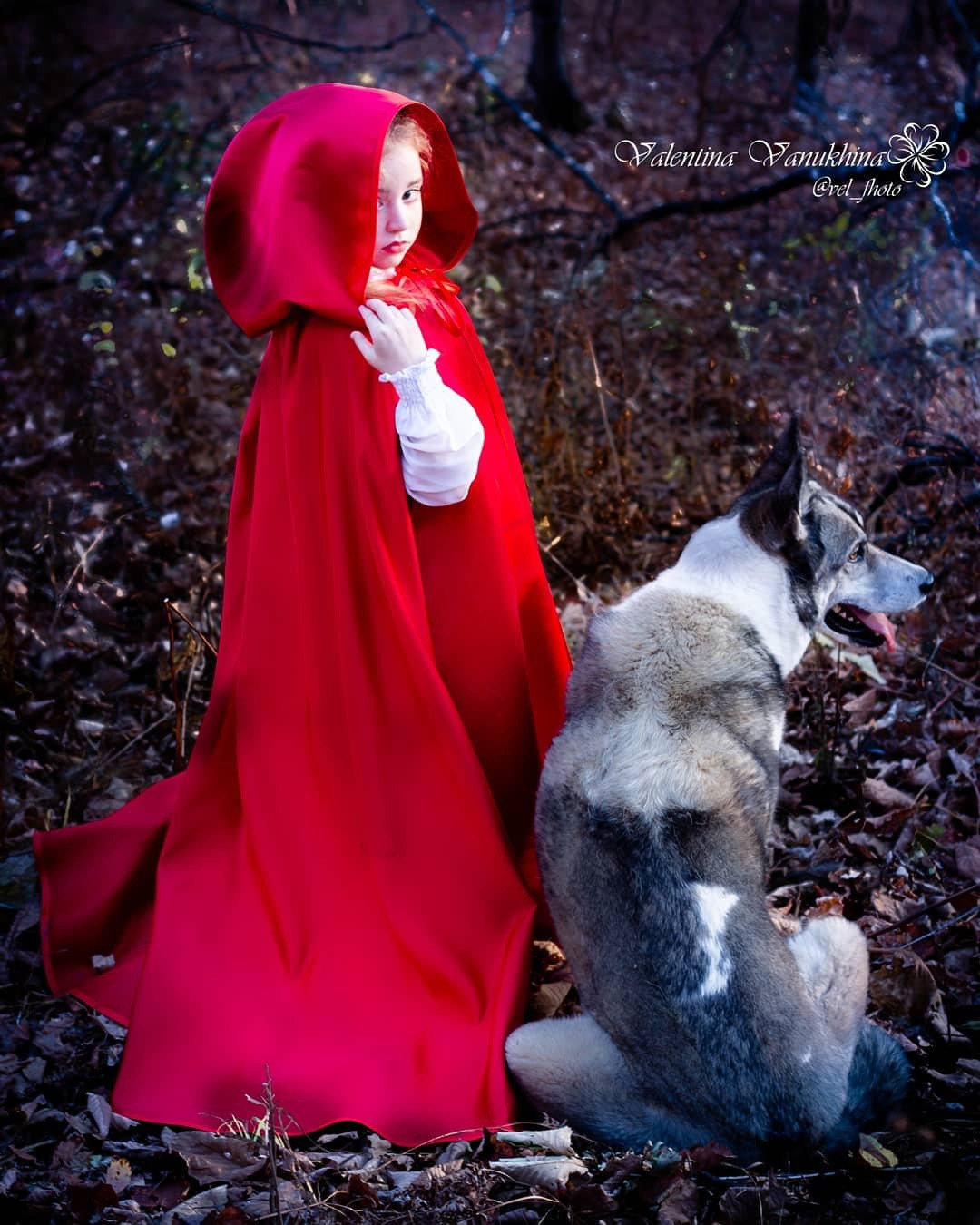 Красная шапочка. Фотограф/Контент-фотограф в Гусь-Хрустальном Валентина Ванюхина
