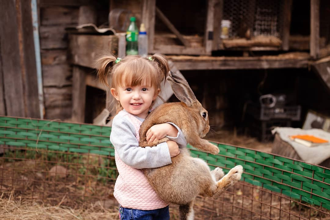 Дети. Фотограф/Контент-фотограф в Гусь-Хрустальном Валентина Ванюхина