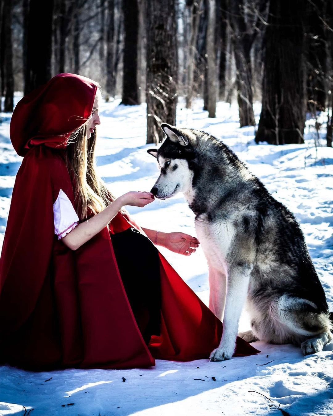 Красная шапочка. Фотограф/Контент-фотограф в Гусь-Хрустальном Валентина Ванюхина