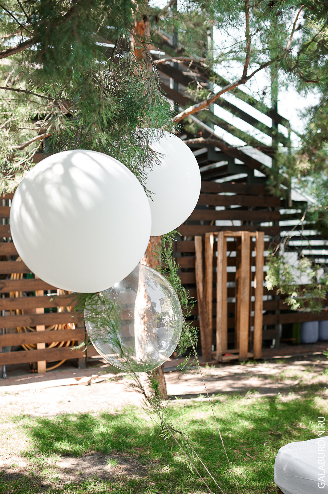 17 августа!. Свадебный и семейный фотограф Михаил Галабурдин и Анна Завадская. Рост