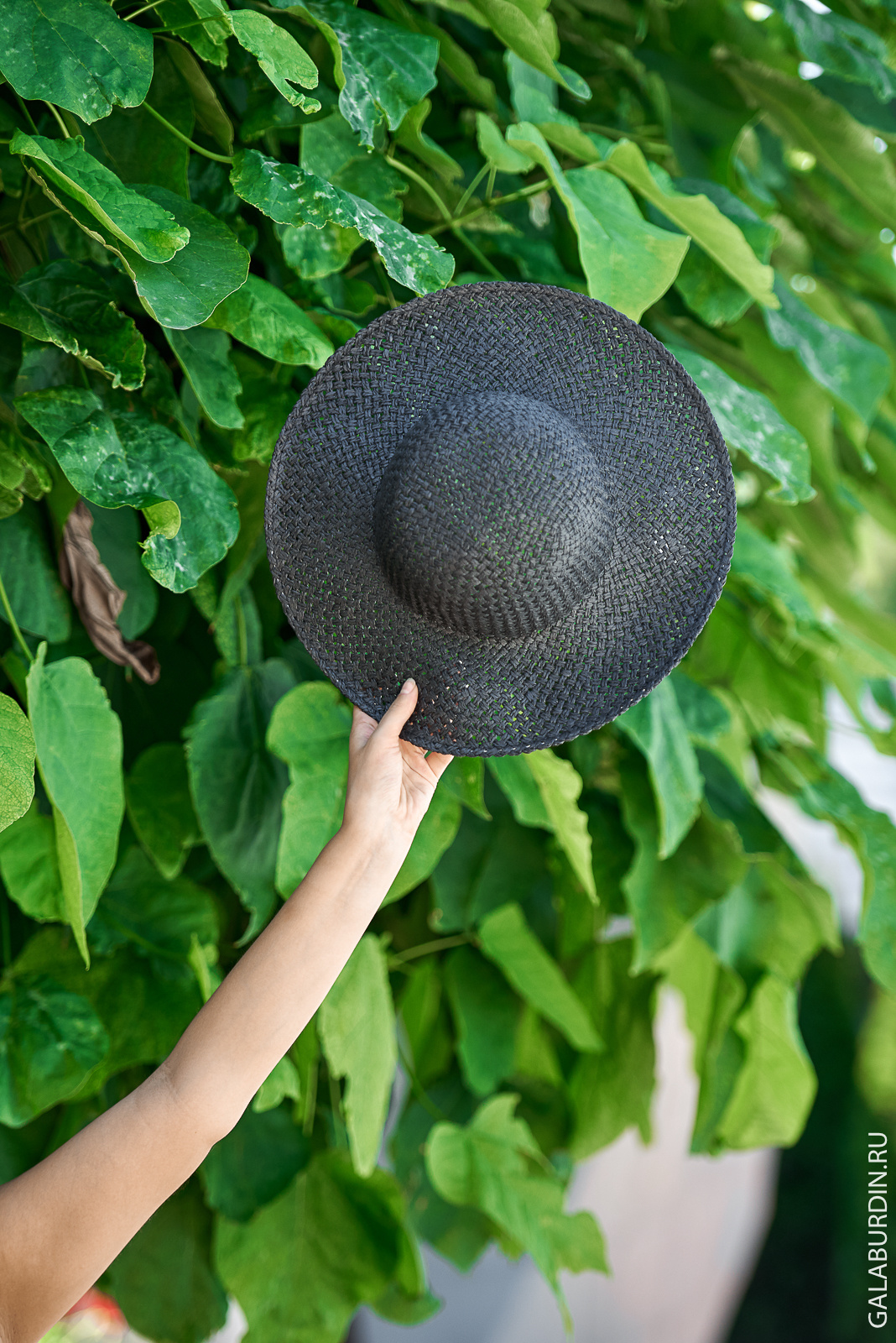 17 августа!. Свадебный и семейный фотограф Михаил Галабурдин и Анна Завадская. Рост