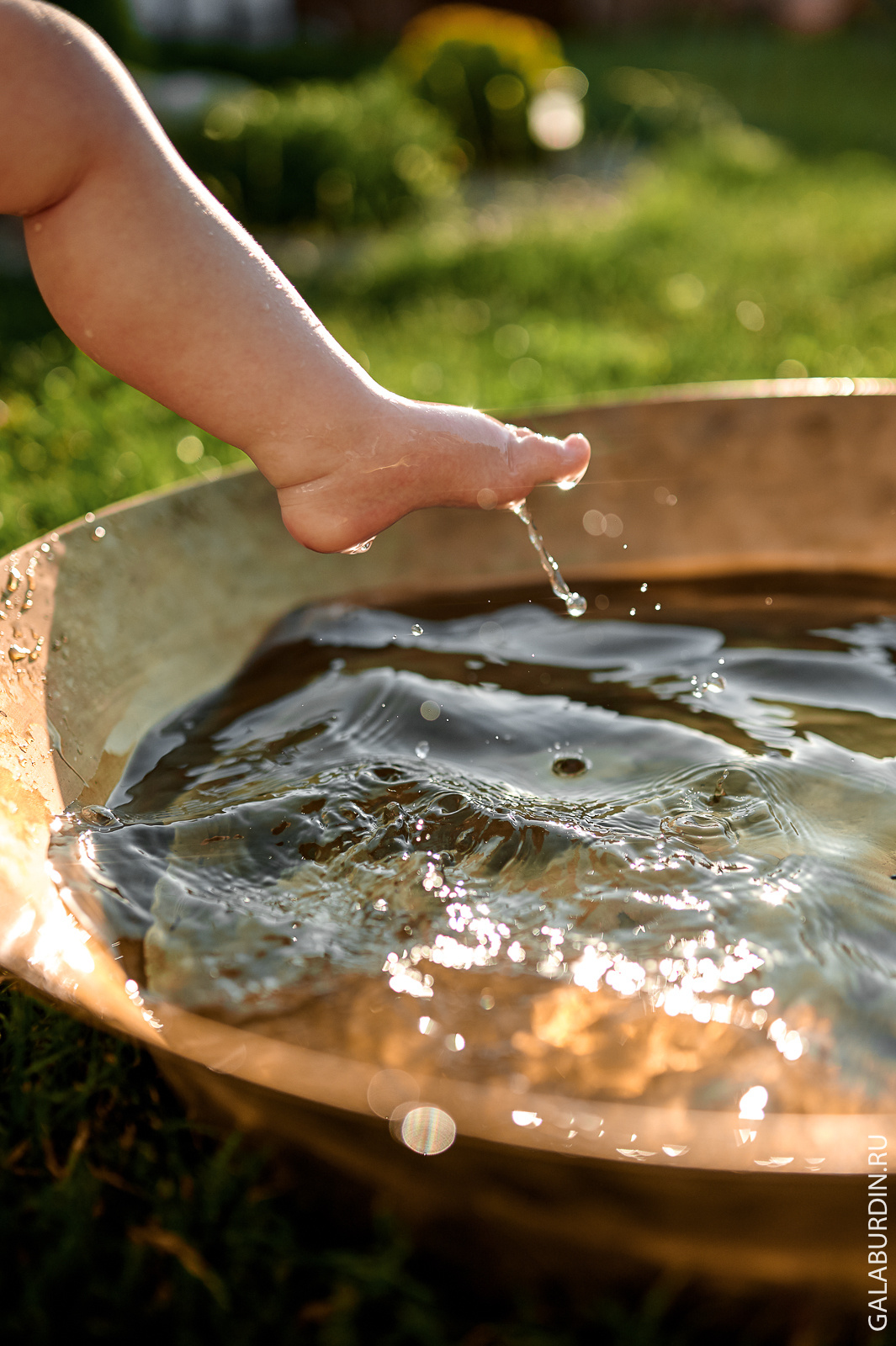 Макар в тазу!. Свадебный и семейный фотограф Михаил Галабурдин и Анна Завадская. Рост