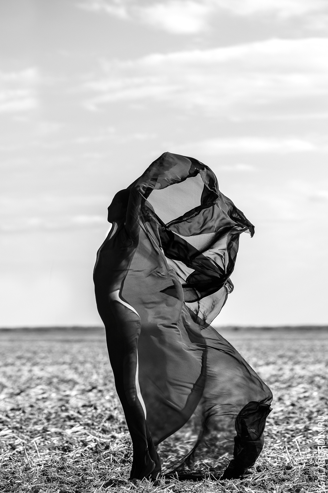 Поле. Свадебный и семейный фотограф Михаил Галабурдин и Анна Завадская. Рост