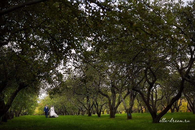 Дамир и Динара. Семейный и свадебный фотограф в Москве Пушкино Элеонора Янбухтина