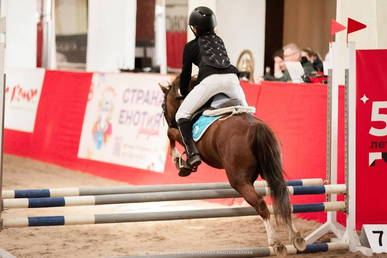 «КУБОК ИМЕНИННИКА» КСК «Измайлово». Конный фотограф Куракина Дарья • Фотосессии с лошадьми