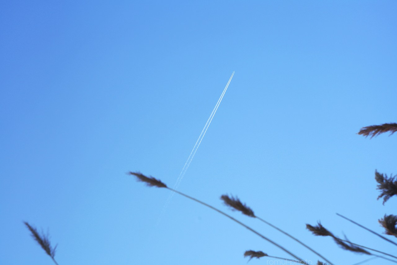 Средняя полоса. Свадебный и репортажный фотограф в Ярославле и Санкт-Петербурге Роман Микрюков