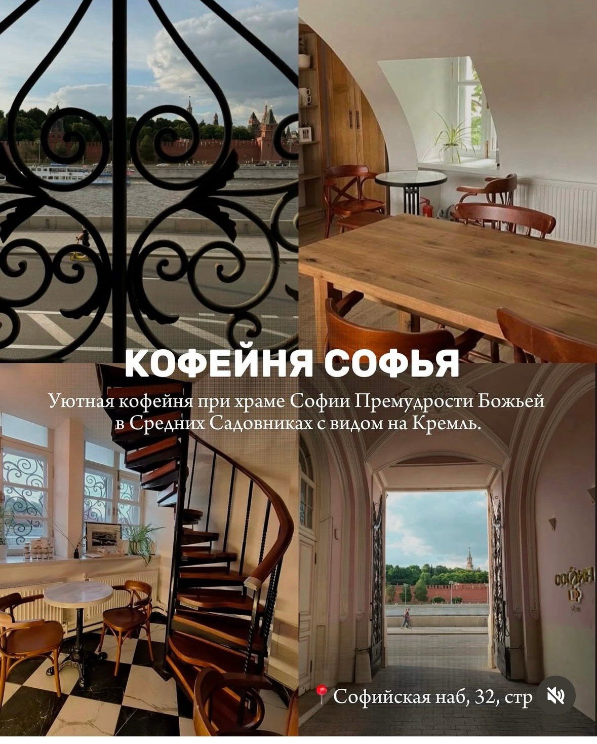 Городские. Фотограф Светлана Мерзлякова