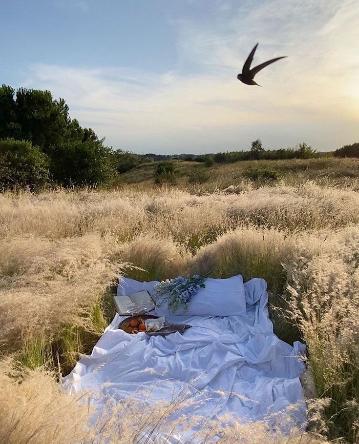 Идеи для индивидуальной фотосессии. Семейный и женский фотограф в Краснодаре Анастасия Приймак