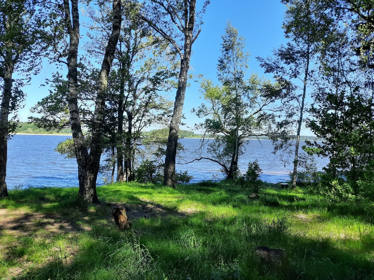 Пятница! | 2021. Галерея Фантим