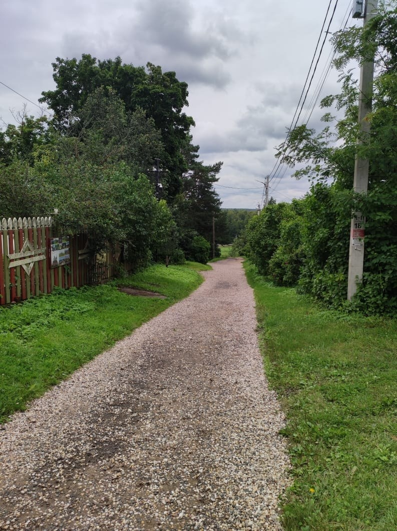 Звенигород | 29.06.2023. Галерея Фантим