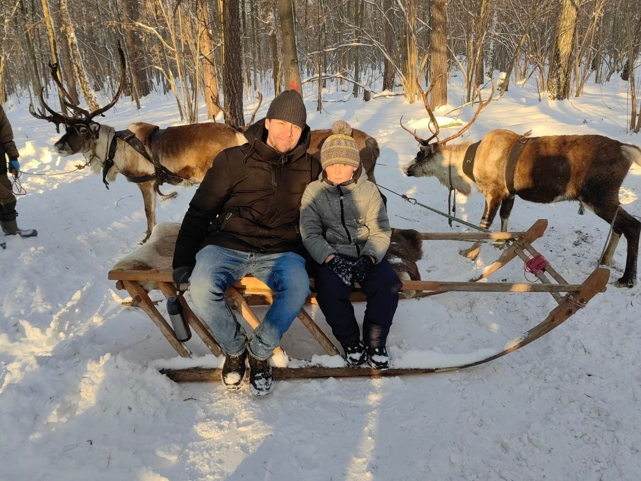 В гости к северным оленям | 02.12.2023. Галерея Фантим