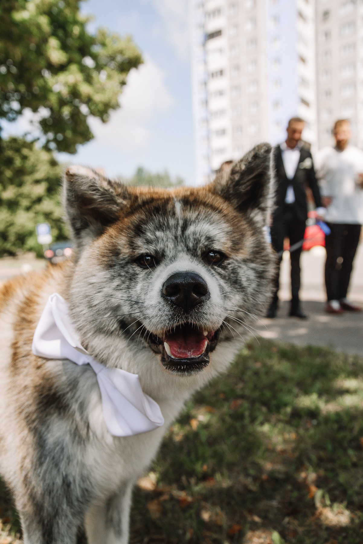 Wedding moments_Павел & Таня. Свадебный и семейный фотограф в Минске Яна Новак