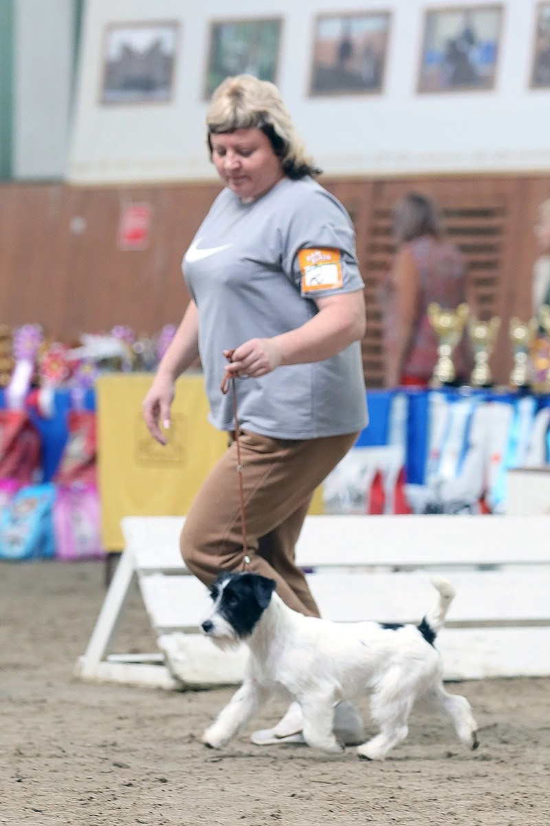 Port Fortis Play Boy