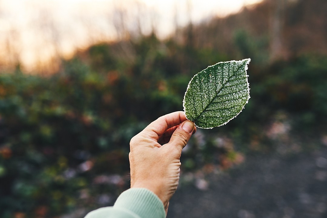 Фотографии с похода на водопад Поликария. Фотограф в Сочи Катя Гончарова
