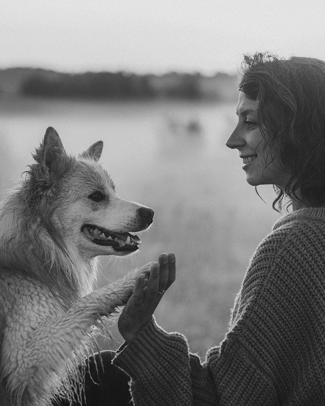 Рина и Марси. Фотограф анималист в Москве и Санкт-Петербурге Свиридова Анна