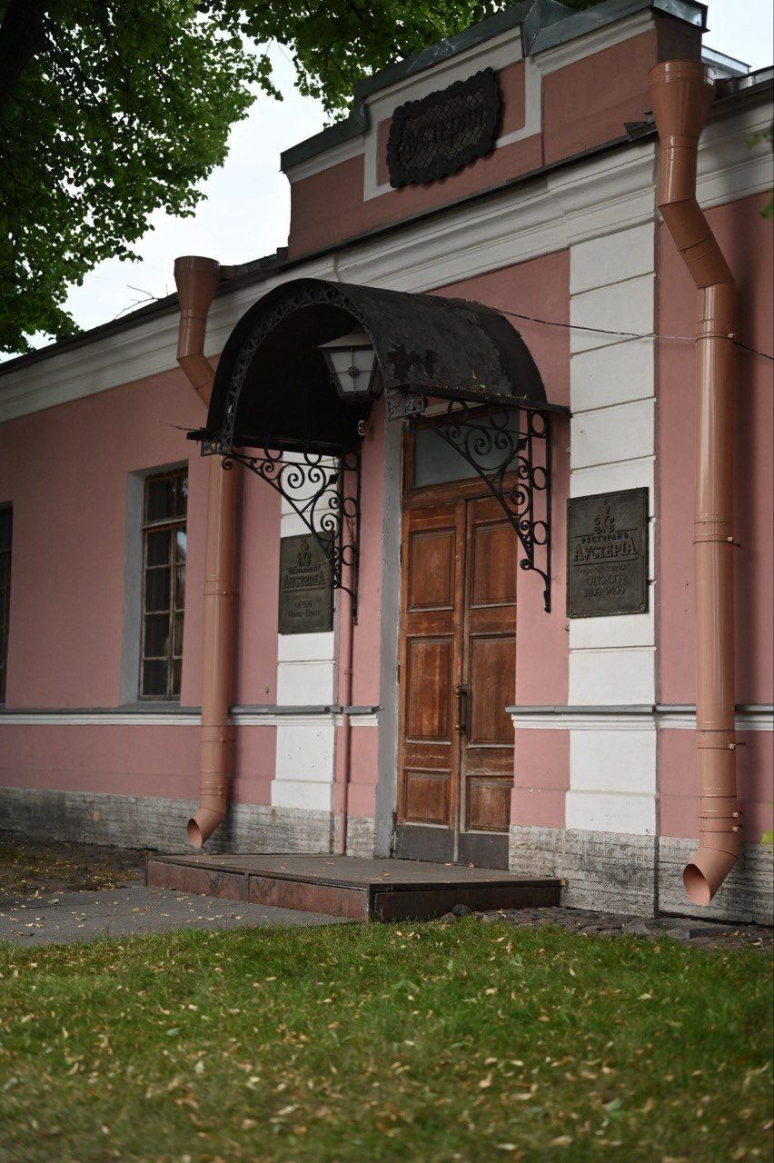 . ZDARONOKIA Репортажный фотограф