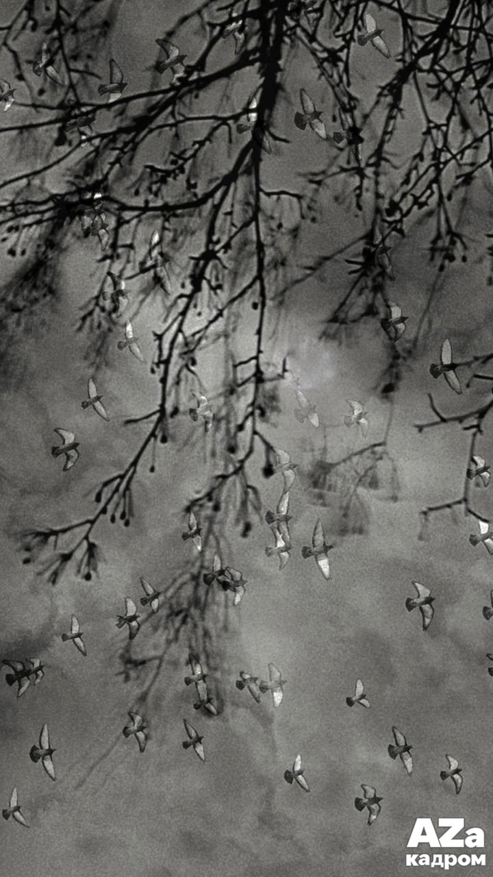 AZакадром Импрессинизм. Женский семейный фотограф Тула Москва Захарова Анна