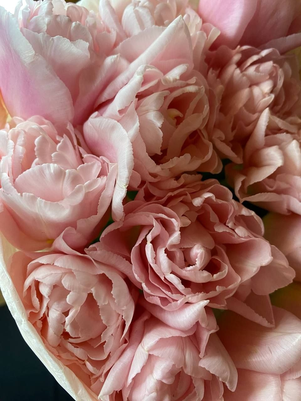 Для любого повода. Мария Сурмина-Ким. Флорист