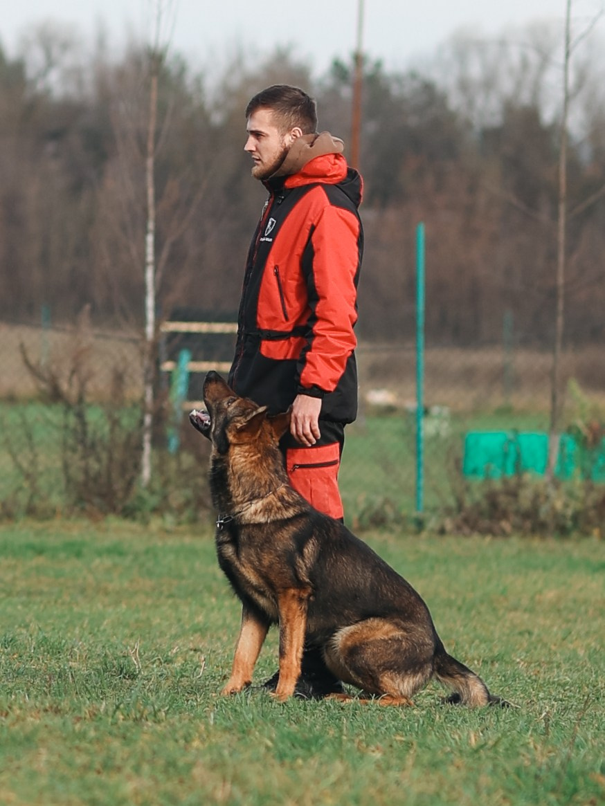 Соревнования BH. Фотограф-анималист в Москве Кириллова Татьяна
