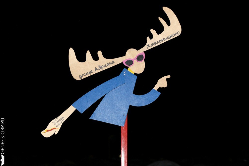 Фестиваль Дикая Мята. Репортажный и интерьерный фотограф Александра Солдатова