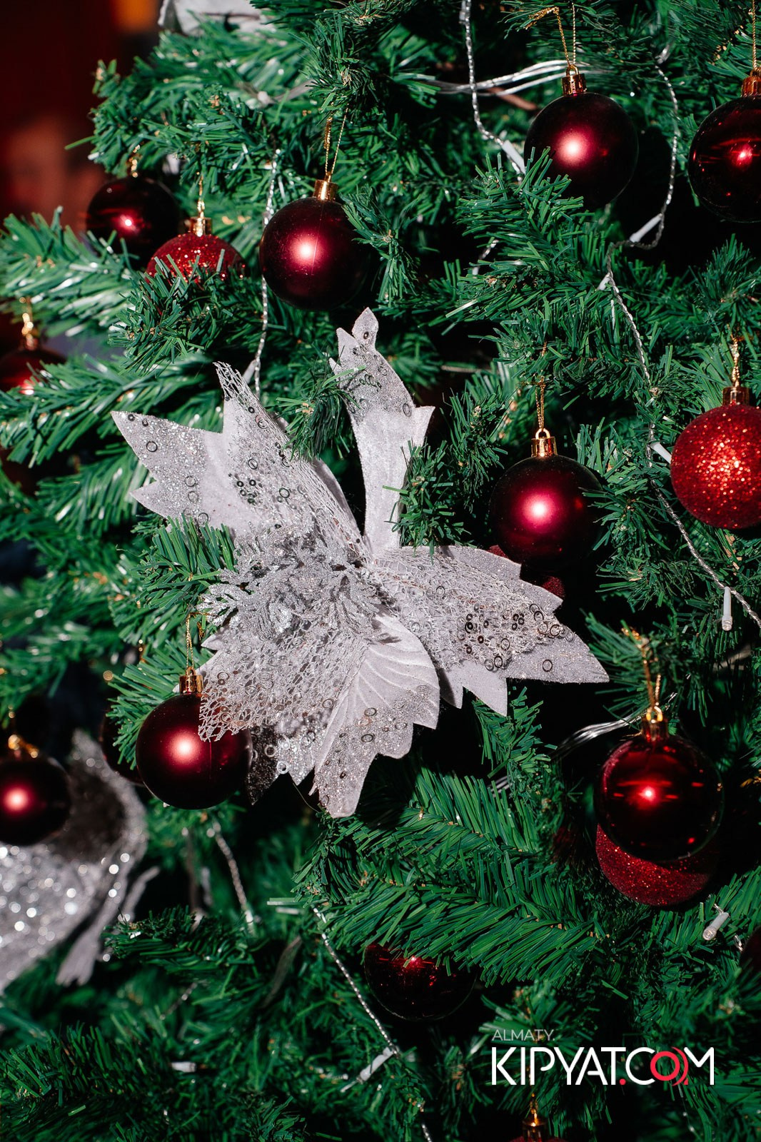 ГРУЗИНСКИЙ ДВОР НА КАБАНБАЙ БАТЫРА. КИПЯТКОМ АЛМАТЫ!