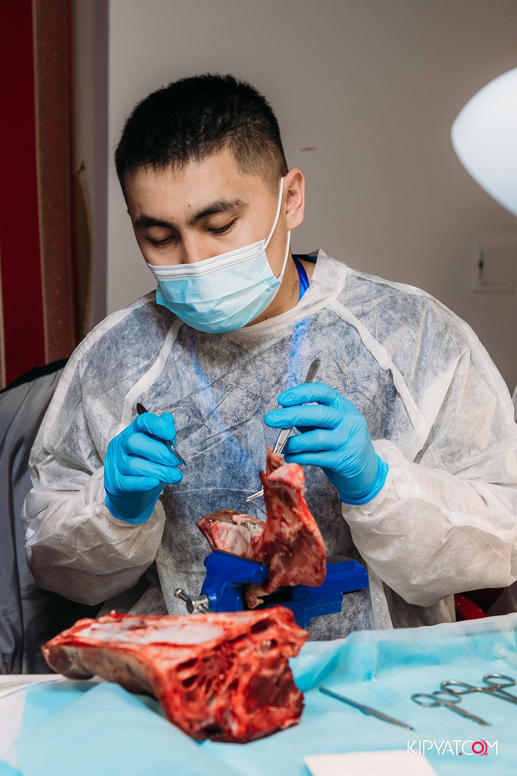 КУРС ДЛЯ СТОМАТОЛОГОВ ОСЛОЖНЕНИЯ В ХИРУРГИЧЕСКОЙ ПРАКТИКЕ КТО ВИНОВАТ И ЧТО ДЕЛАТЬ. КИПЯТКОМ АЛМАТЫ!