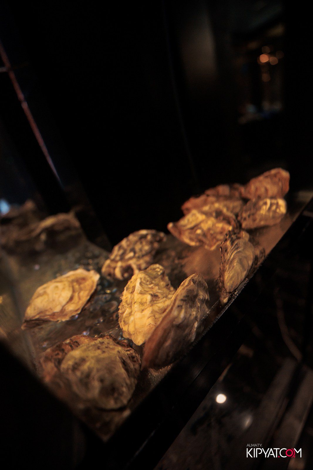 MOOD KARAOKE BAR & TERRACE. КИПЯТКОМ АЛМАТЫ!