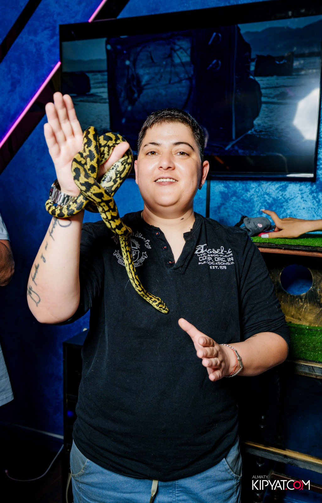 УХО И МЕДВЕДЬ НА САИНА. КИПЯТКОМ АЛМАТЫ!