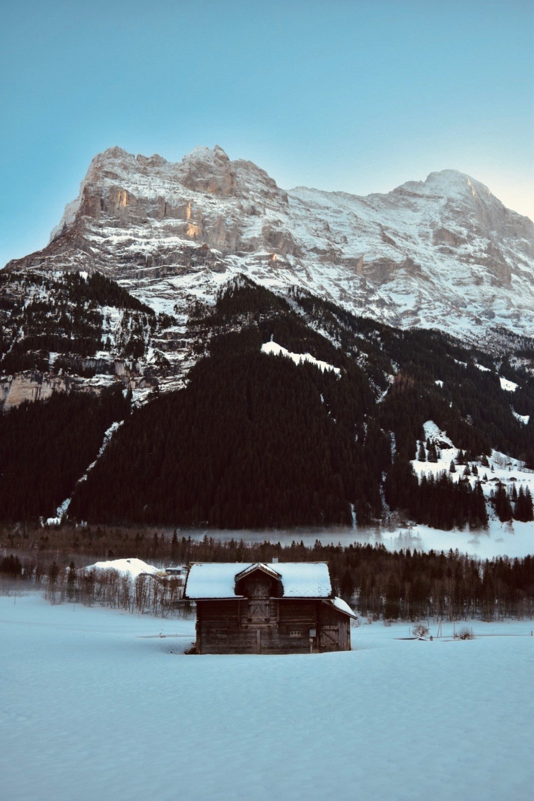 Grindelwald. Фотограф в Москве