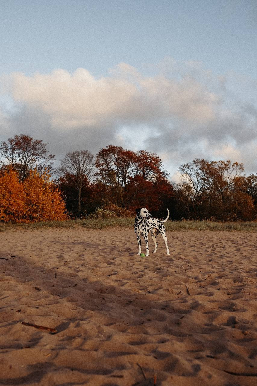 Заказник «ЗАПАДНЫЙ КОТЛИН». Семейный фотограф Ирис Сенченко