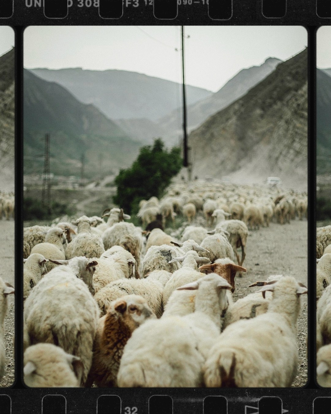 Уникальные экспедиции — LUCKY CLAN