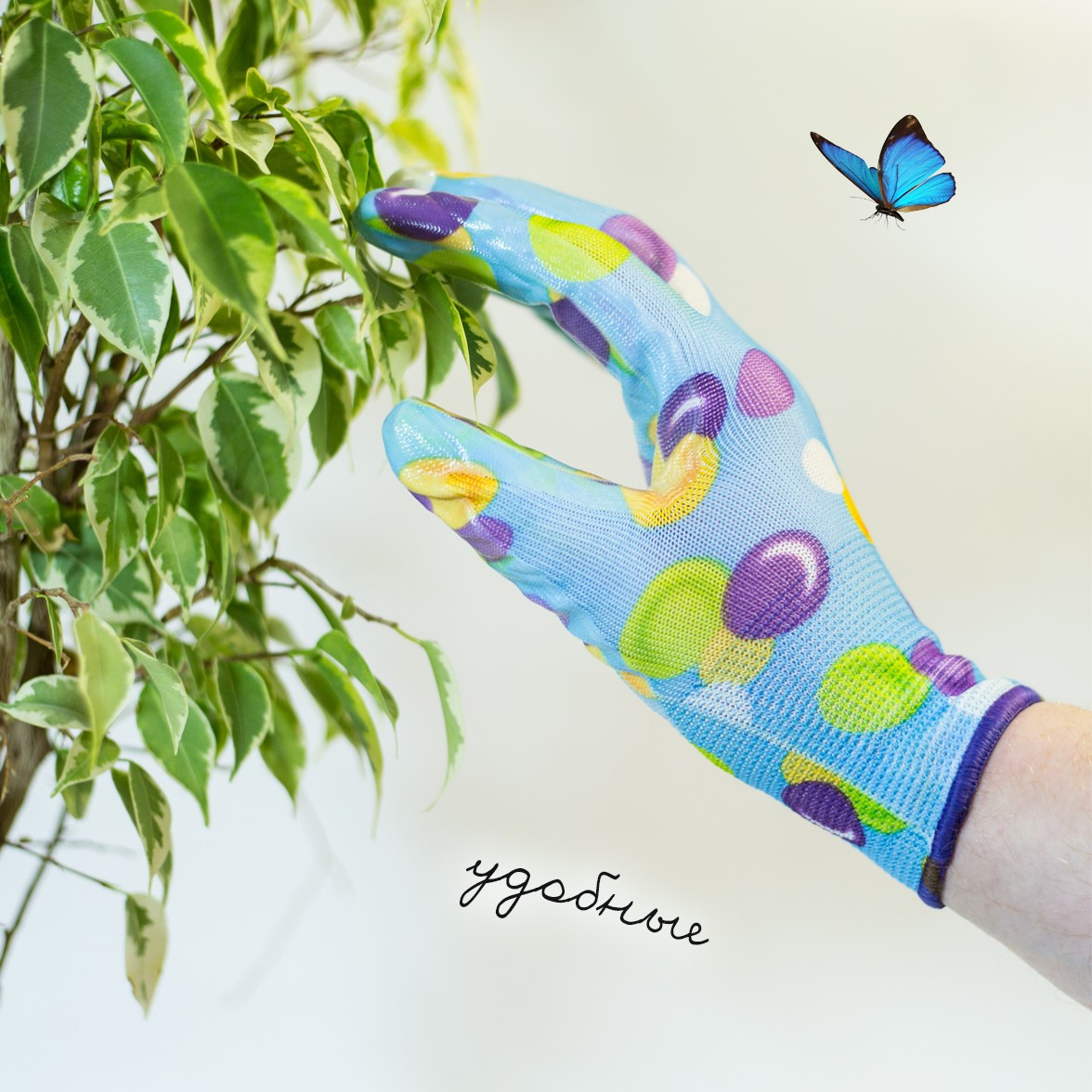 Инфографика для маркетплейсов. Семейный и детский фотограф Александра Кор. Москва