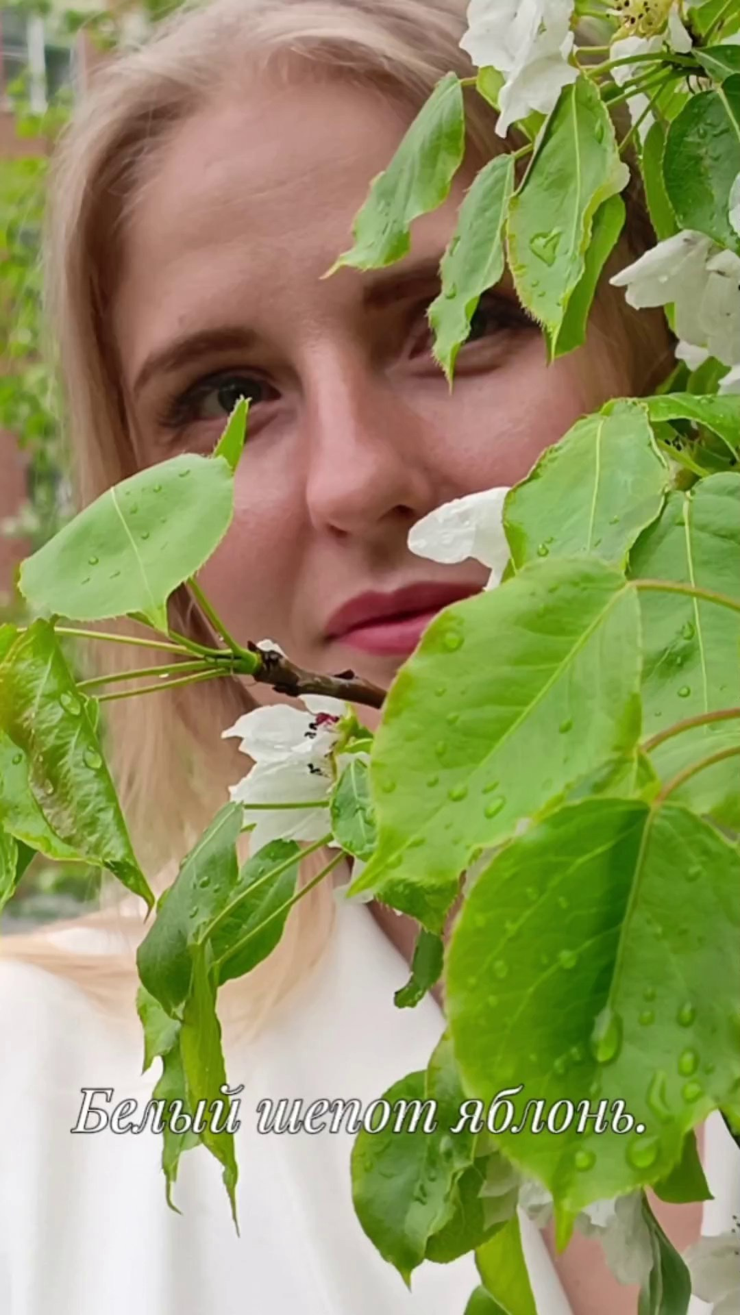 Белый шепот яблонь