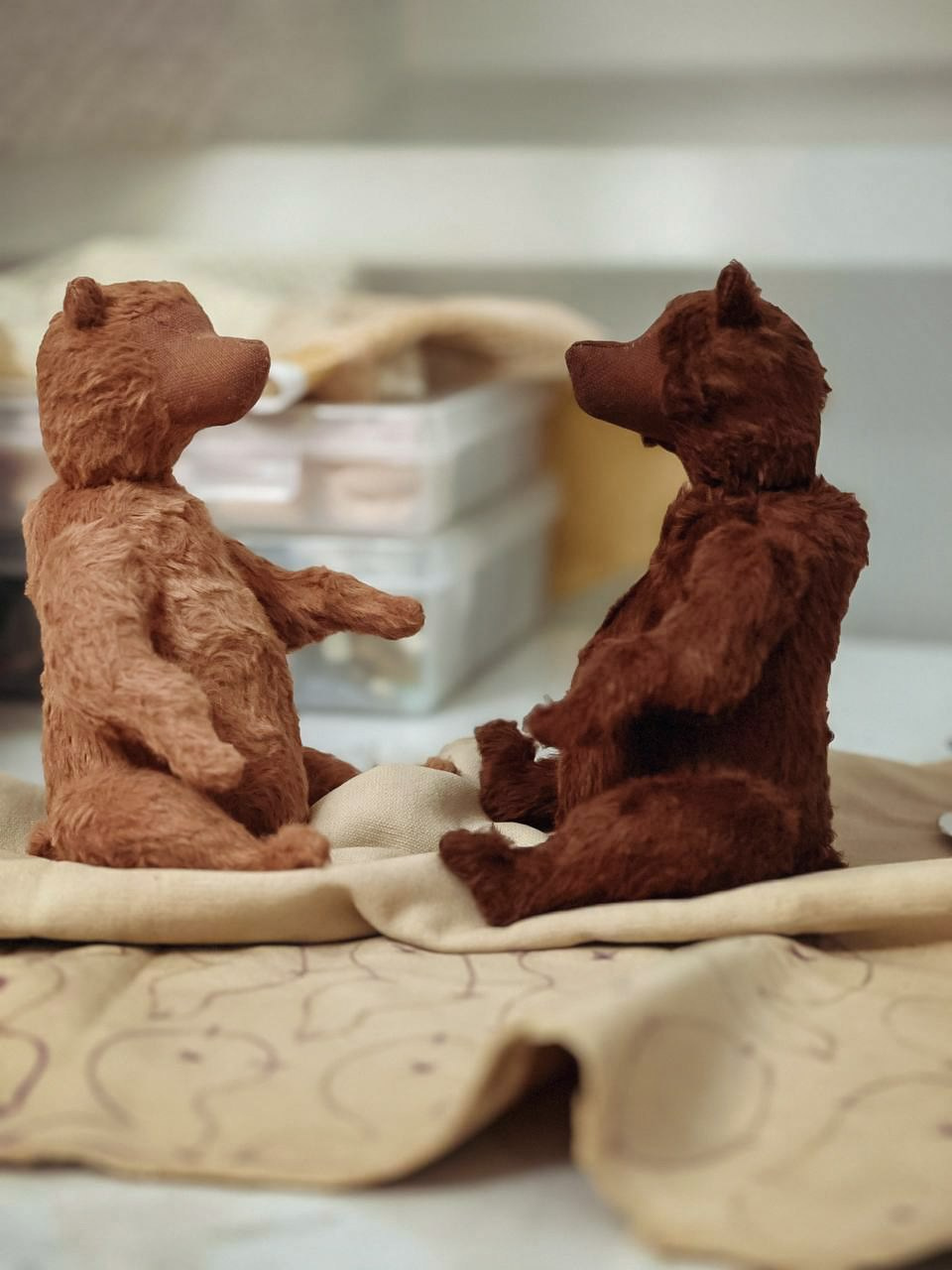 Тедди. Фотограф Ольга Сальманович