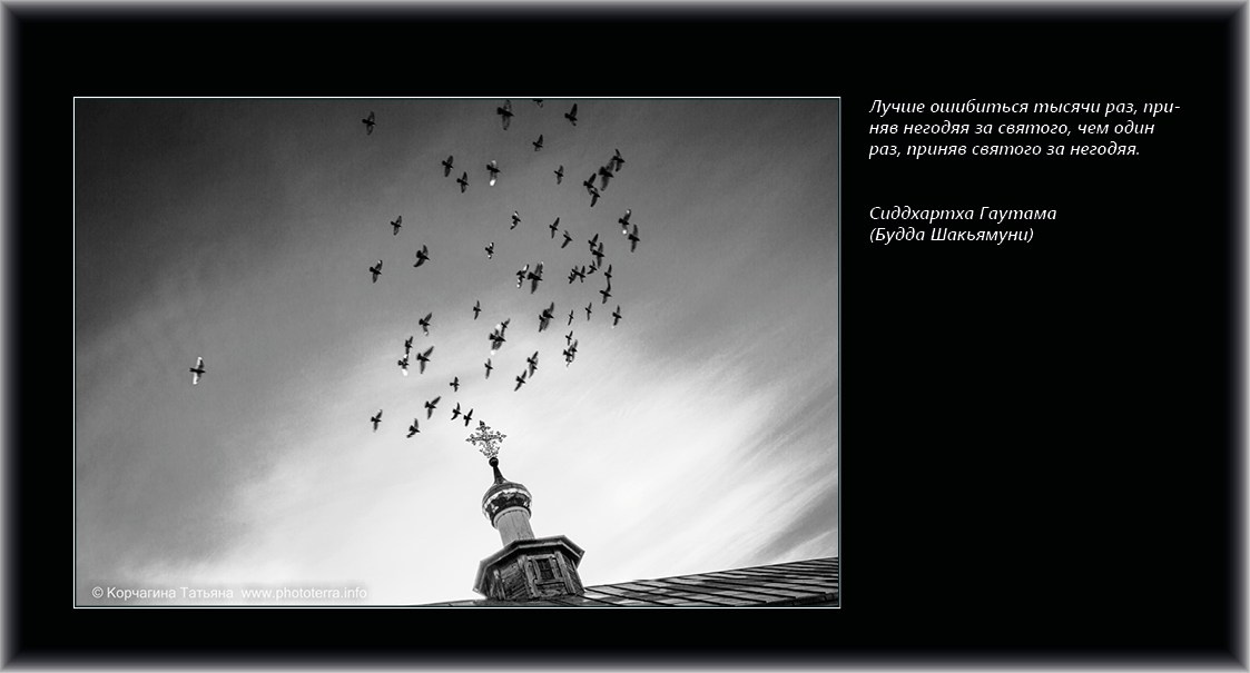 Совет дня — ориентир. Татьяна Корчагина. Фотограф, художник. Обучение фотографии