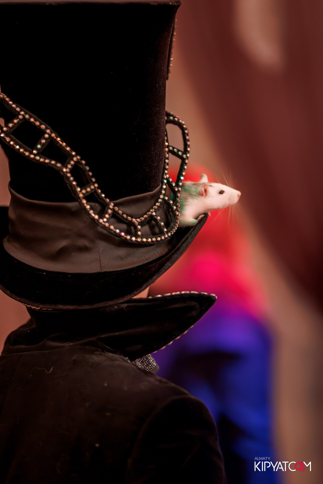 FORT GORNYI. КИПЯТКОМ АЛМАТЫ!