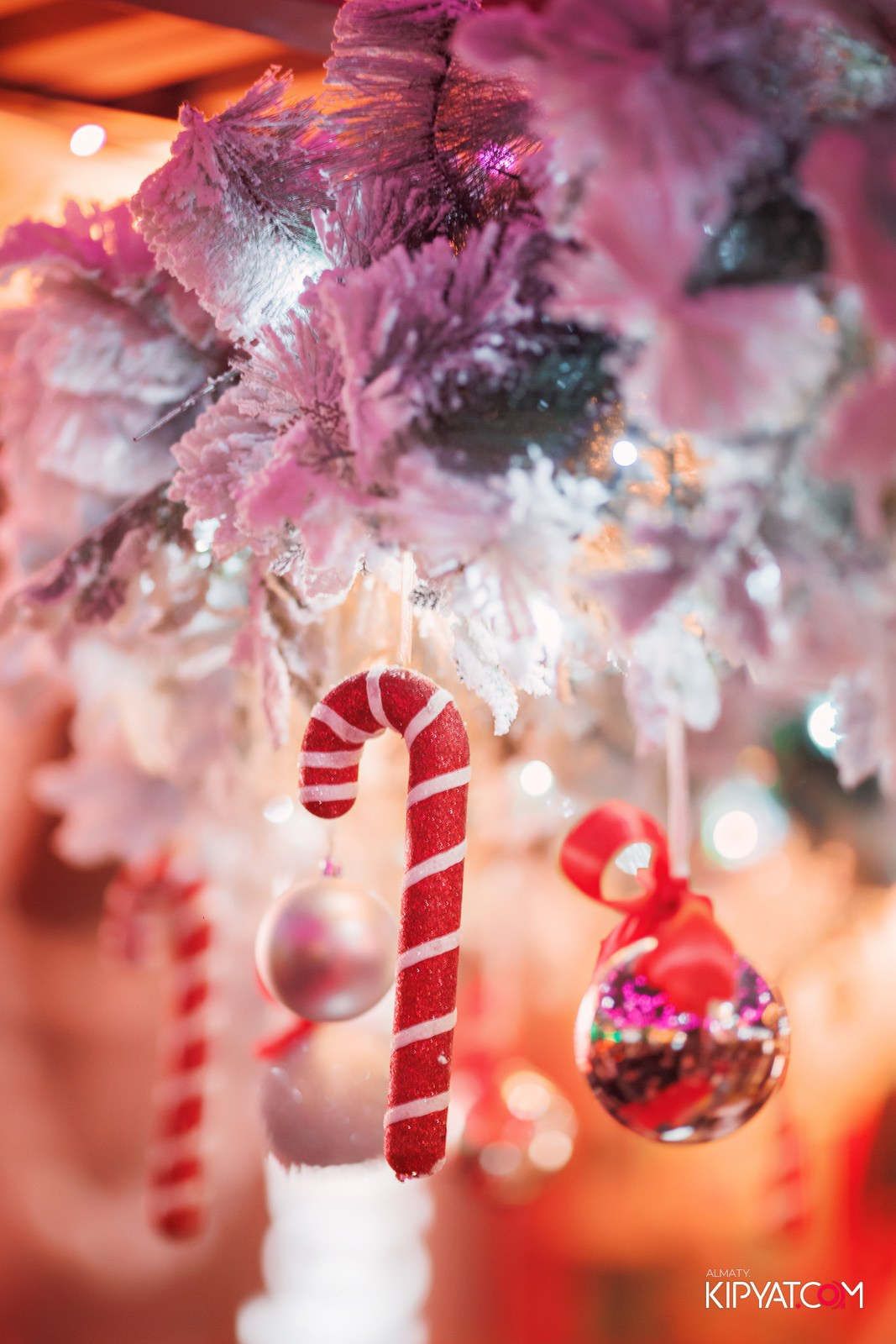 BLA BLA BAR. КИПЯТКОМ АЛМАТЫ!