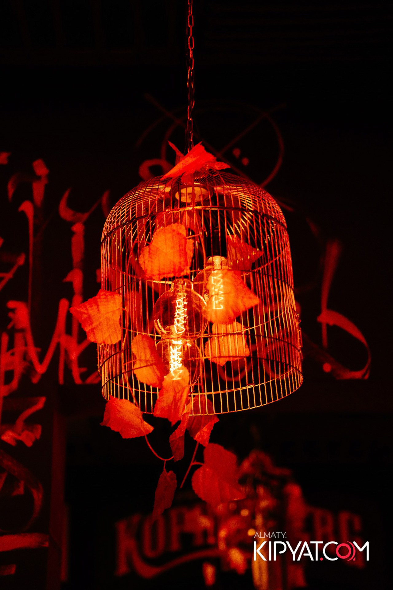 VICTORY MEXICAN AND WILD. КИПЯТКОМ АЛМАТЫ!