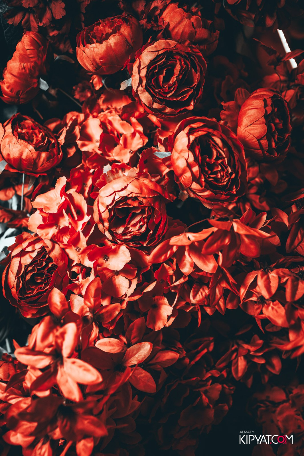 РЕСТОРАН ALAZANI. КИПЯТКОМ АЛМАТЫ!