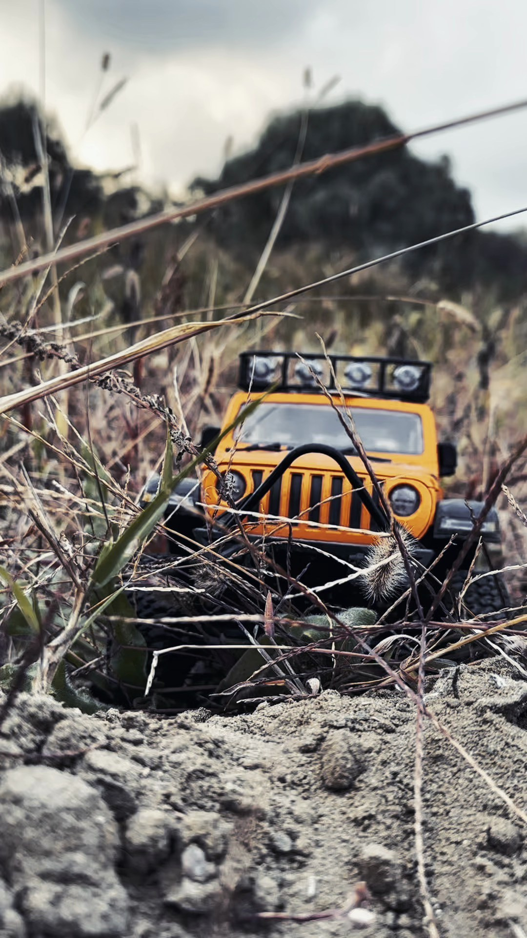 Фотограф и Контент-креатор в Тамбове Виктория Гуру