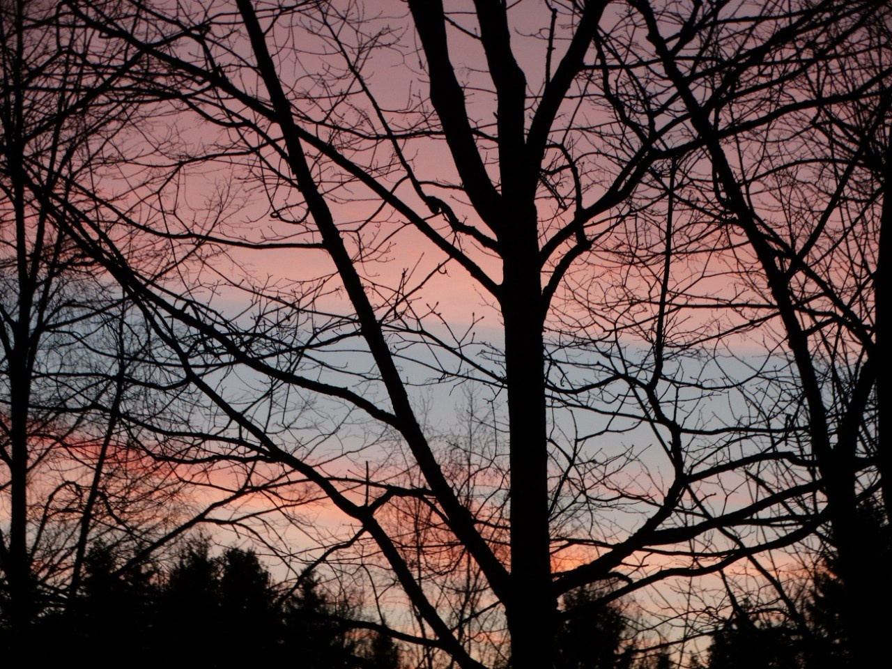 «Весенний переполох» Загородный выезд | 16-17.04.2016. Галерея Фантим