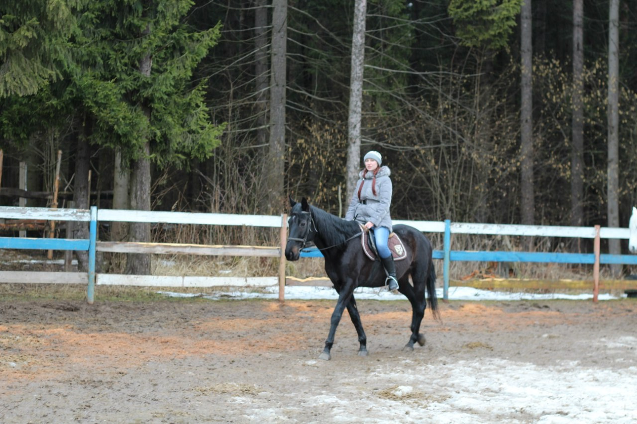 Лошадинг+шашлычинг | 02.04.2016. Галерея Фантим