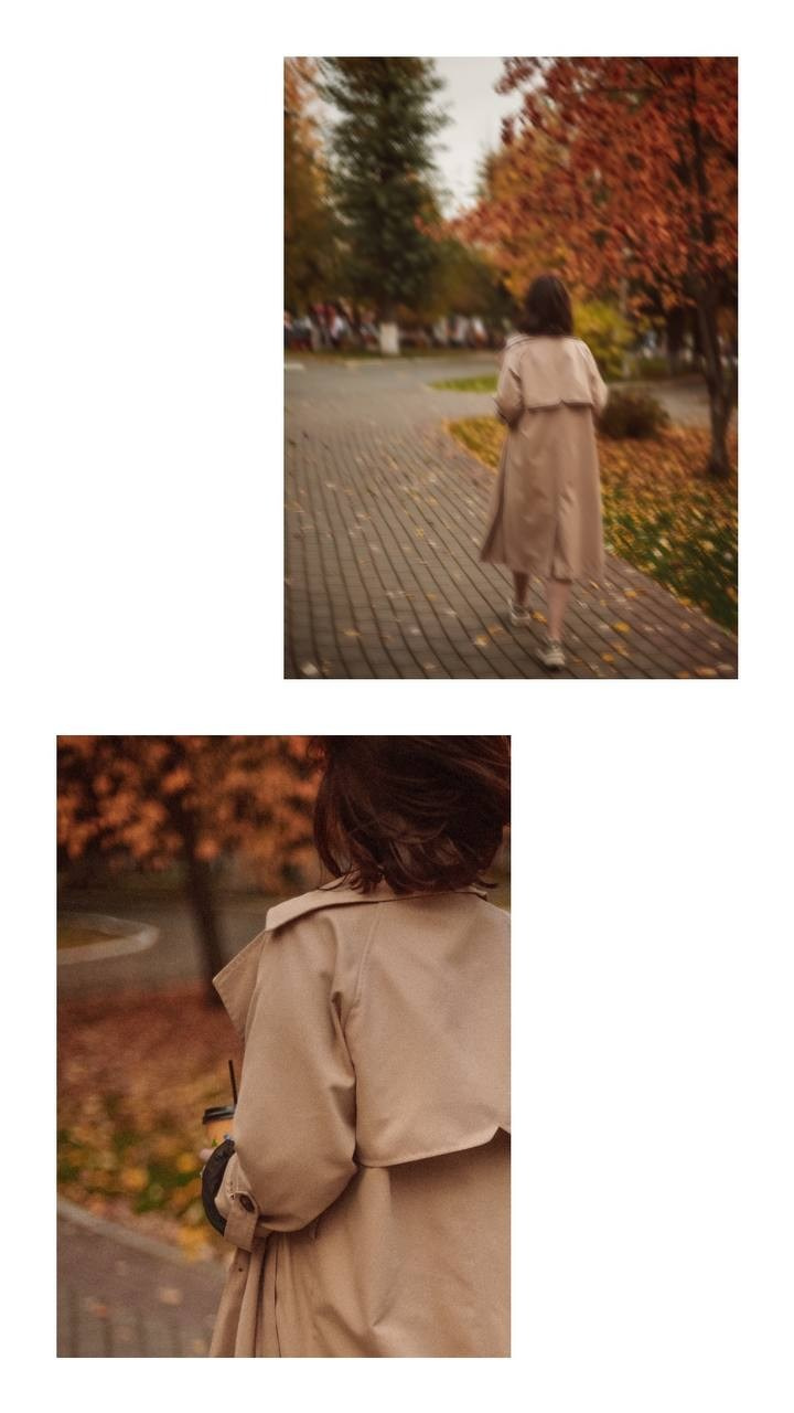 ПАРК, УЛИЦА