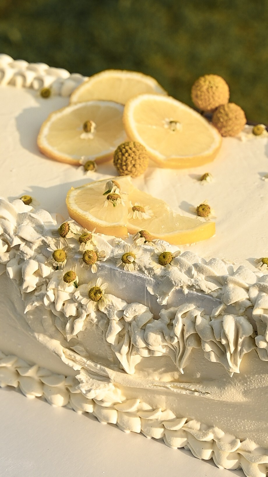 Wedding. Журавлёва Елена