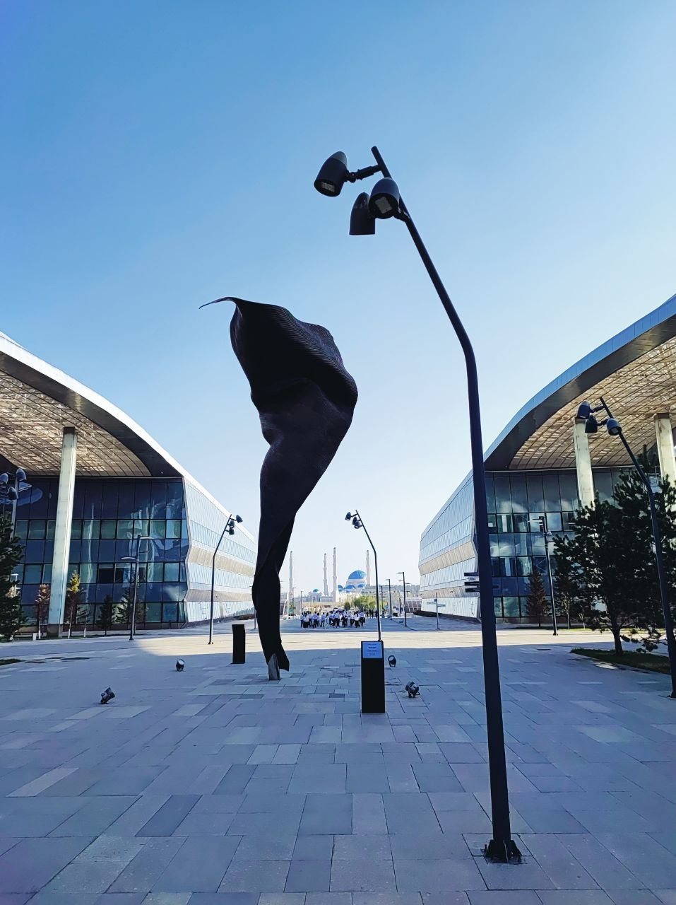 Намобилкус казахский. Репортажный фотограф Алексей Пирязев